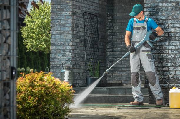 Animal Enclosure Cleaning in Zephyrhills, FL